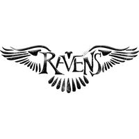 GLT32 BLACK GLITTER Thumbnail